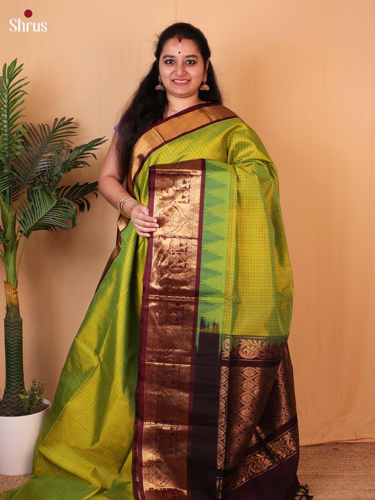CLS09039 - Silk Cotton Saree - Shop on Shrus.com