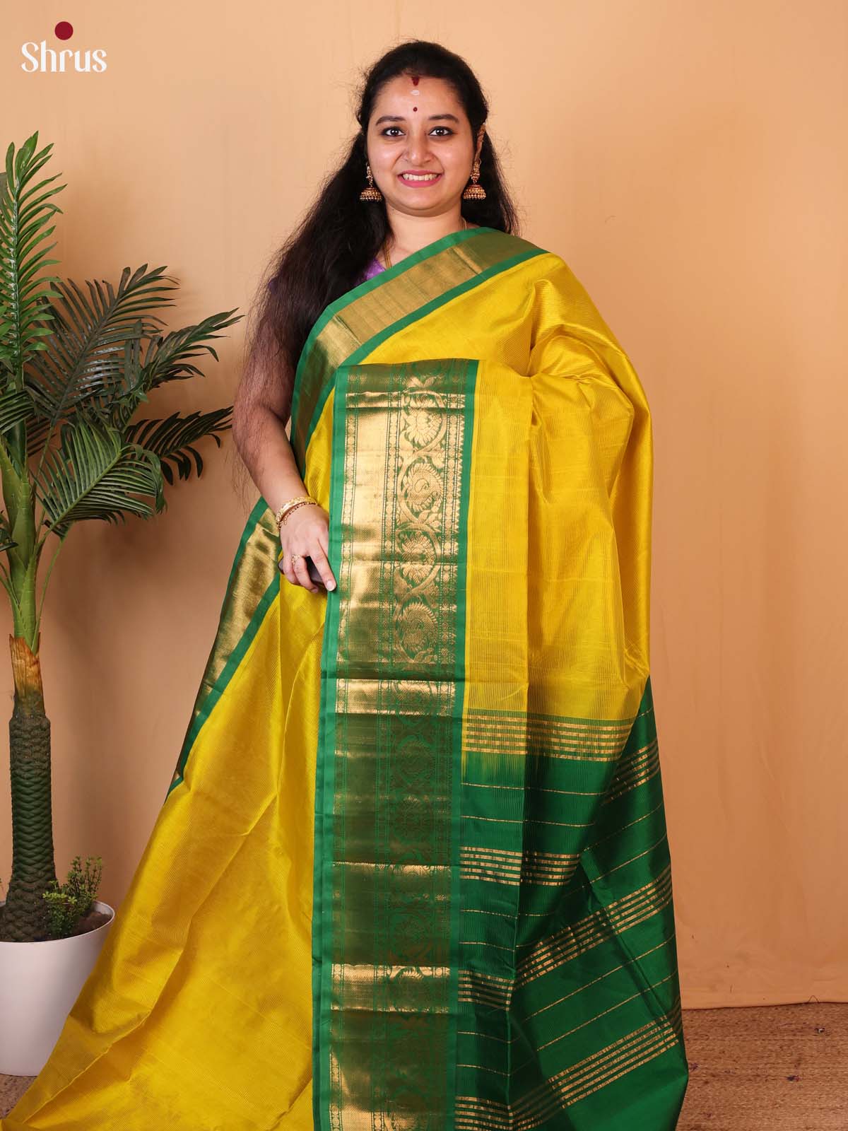 Mustard & Green- Silk Cotton Saree - Shop on Shrus.com