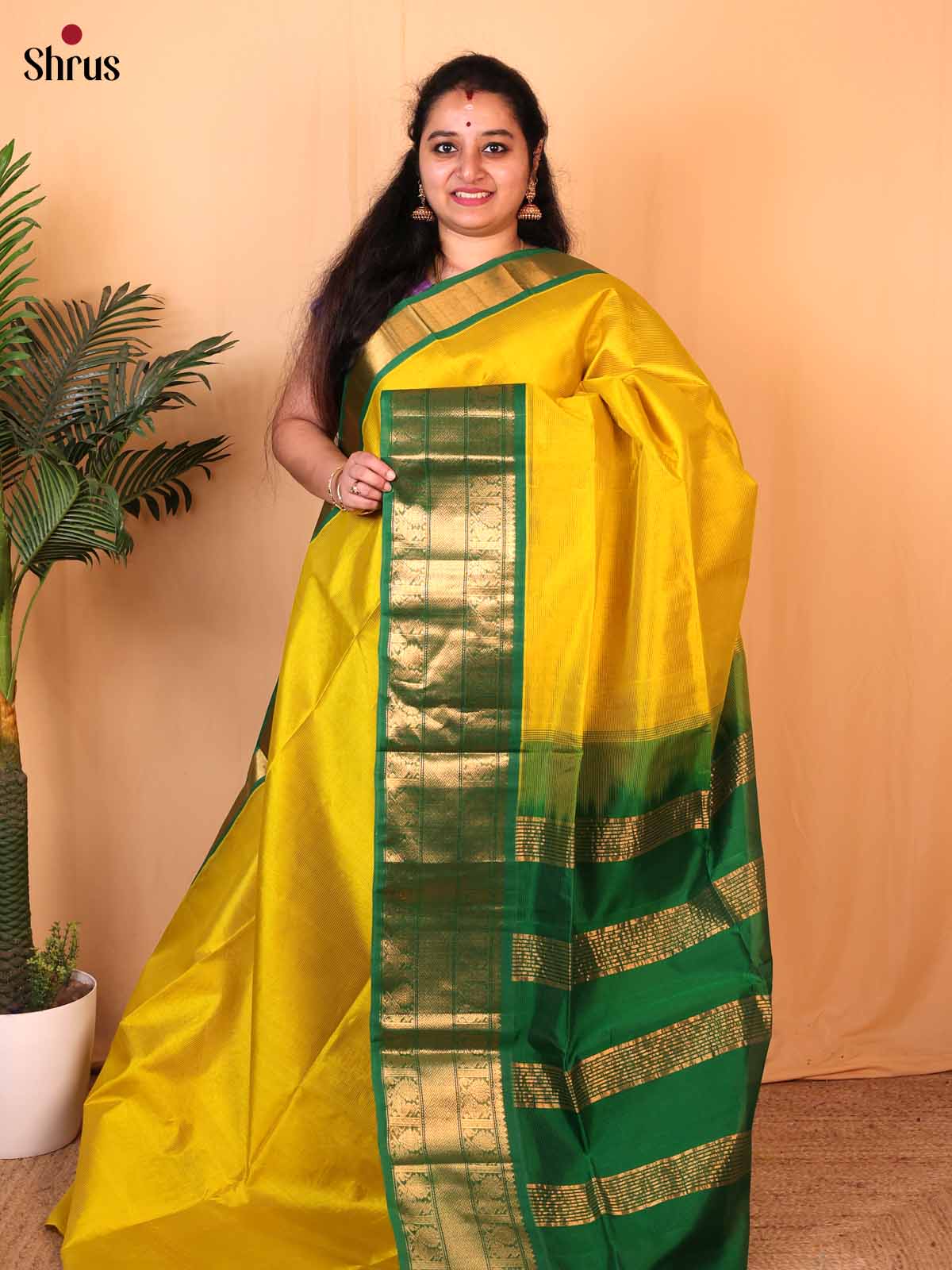 Mustard & Green - Silk Cotton Saree - Shop on Shrus.com