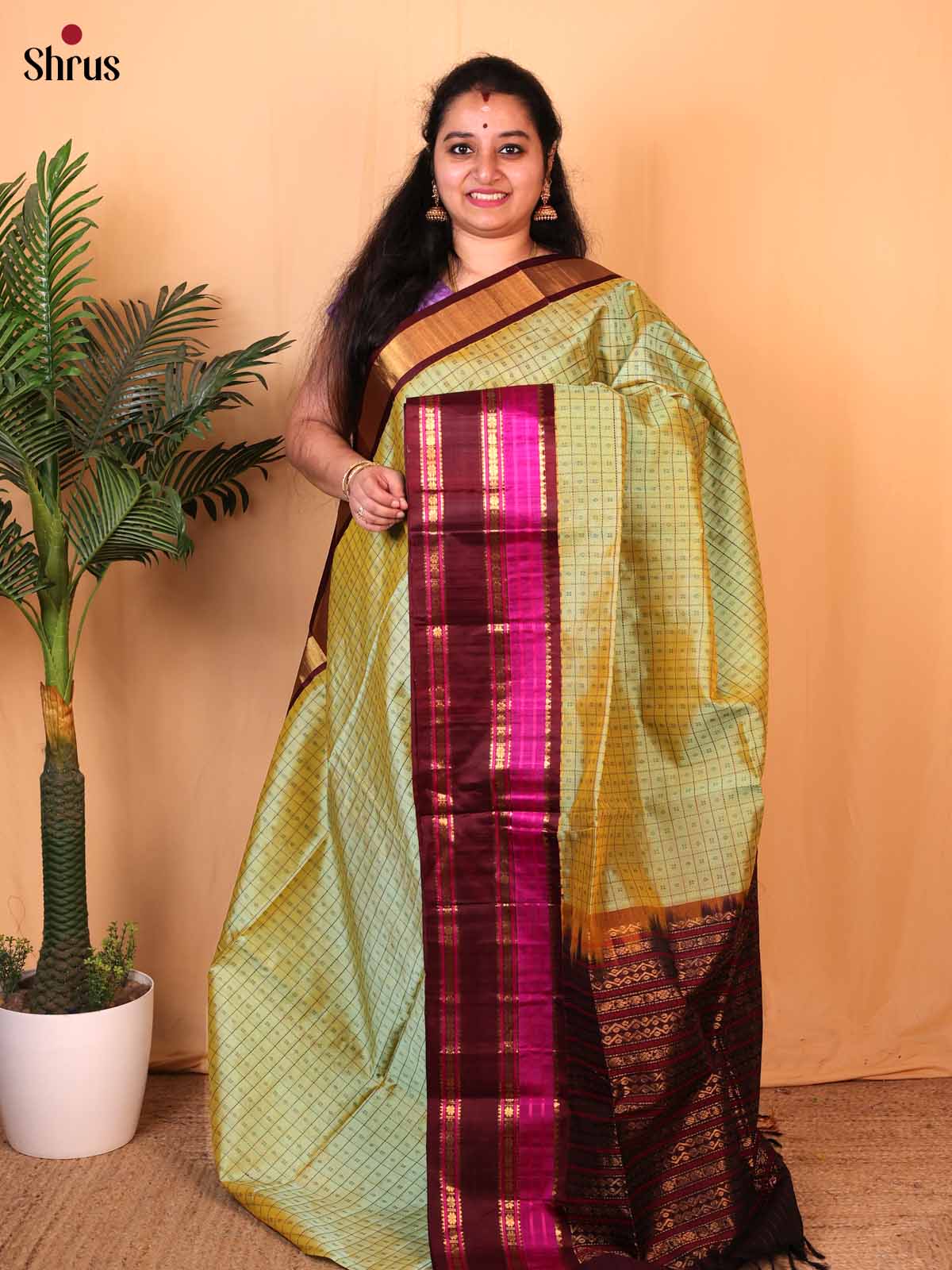 Green & Brown- Silk Cotton Saree - Shop on Shrus.com