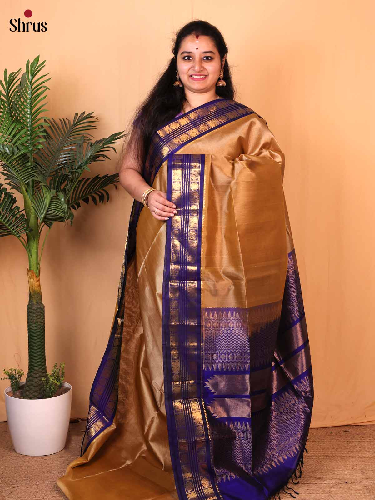 CLS10004 - Silk Cotton Saree - Shop on Shrus.com