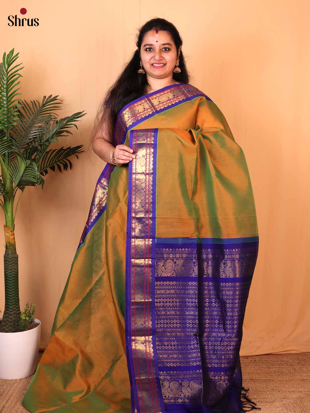 Double Shaded Green & Blue - Silk Cotton Saree - Shop on Shrus.com