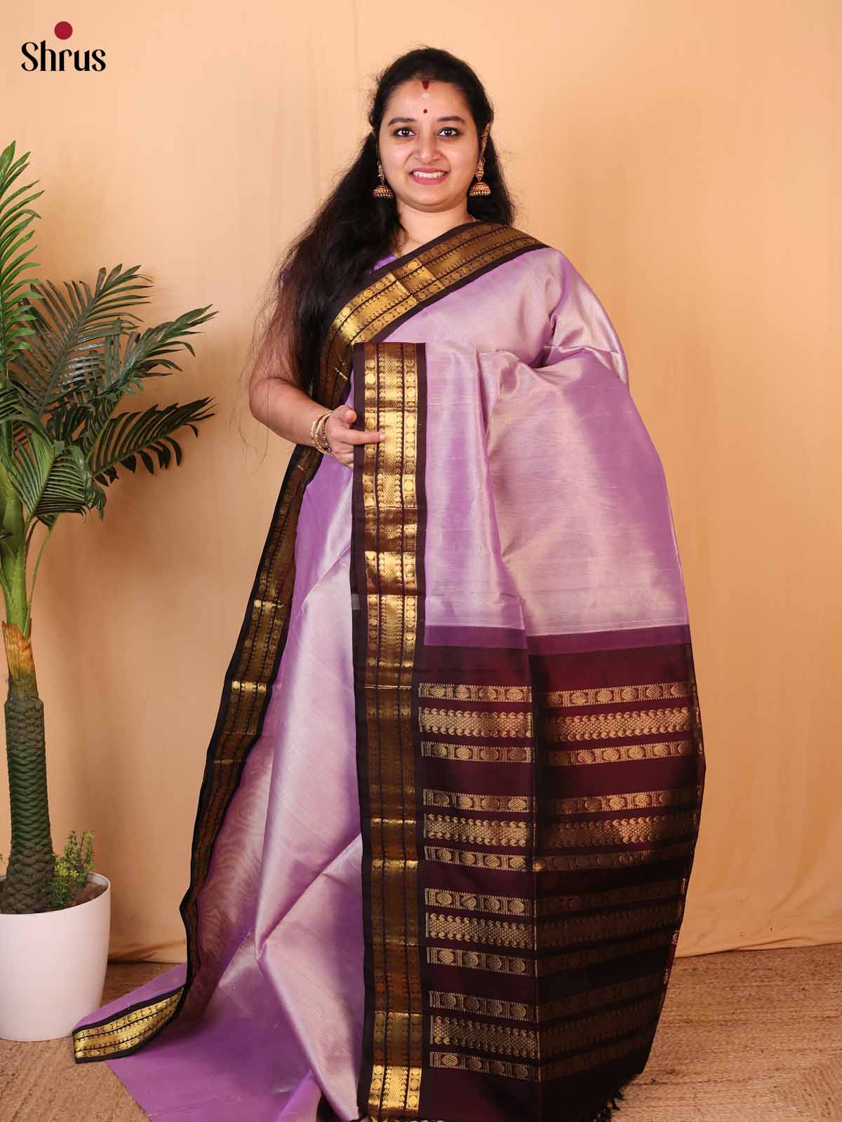 Lavender & Brown - Silk Cotton Saree - Shop on Shrus.com