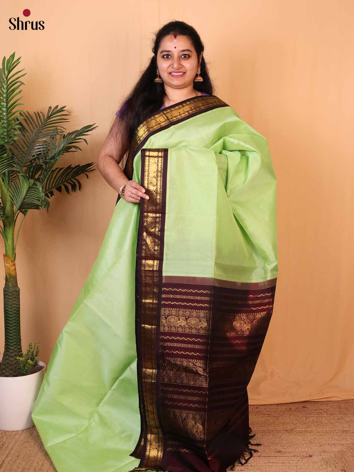 Pista Green & Brown - Silk Cotton Saree - Shop on Shrus.com