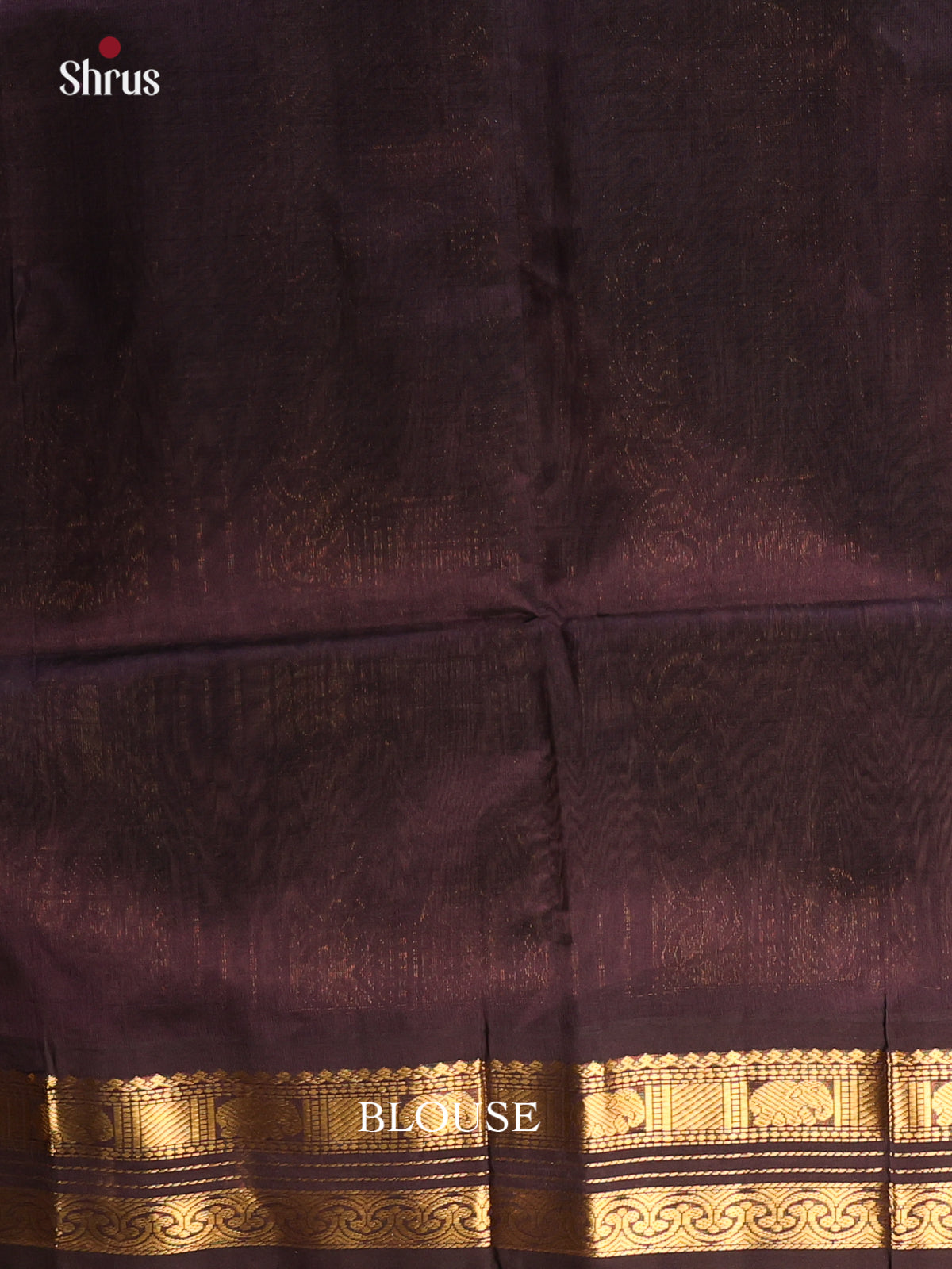 Cream & Brown - Silk Cotton Saree - Shop on Shrus.com