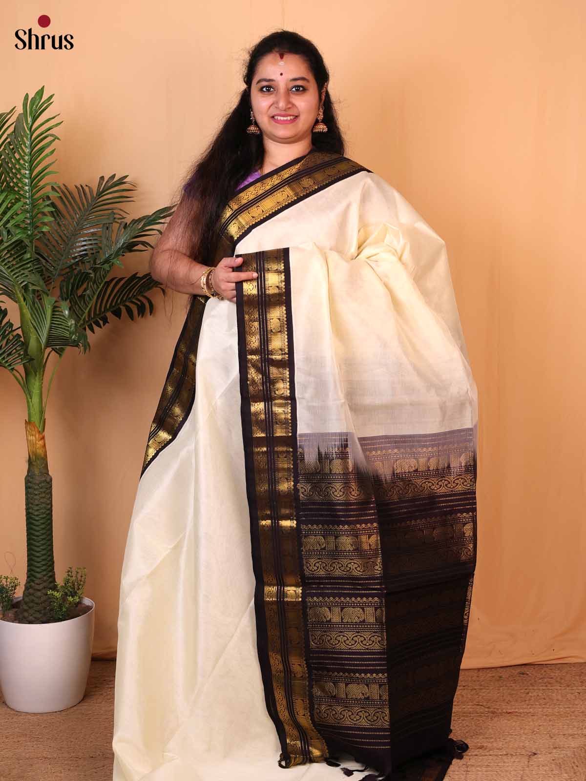 Cream & Brown - Silk Cotton Saree - Shop on Shrus.com