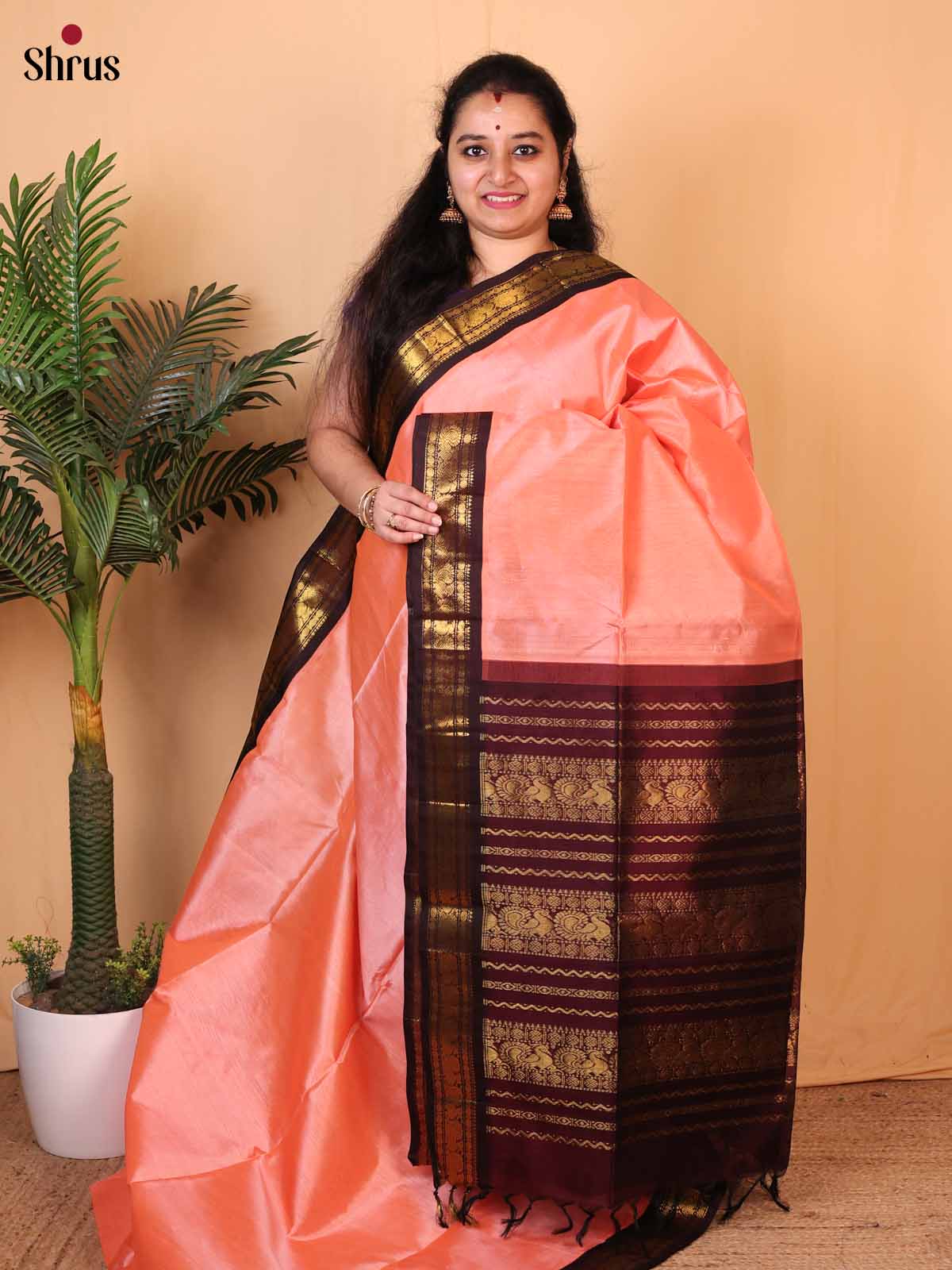 Peachish Pink & Brown - Silk Cotton Saree - Shop on Shrus.com