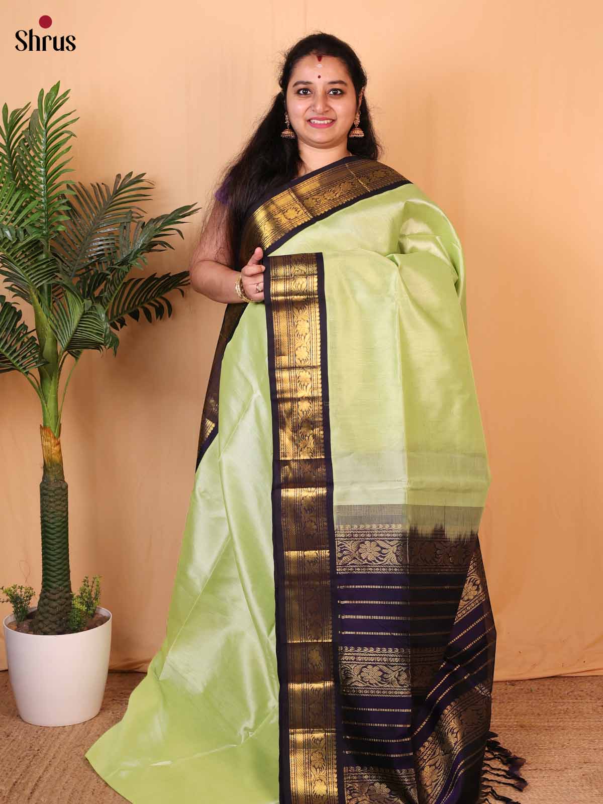 Pista Green & Violet - Silk Cotton Saree - Shop on Shrus.com