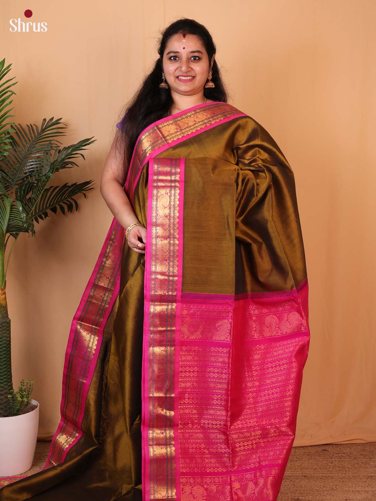 CLS10017 - Silk Cotton Saree - Shop on Shrus.com