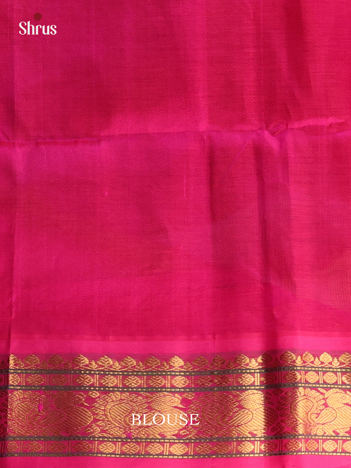 CLS10017 - Silk Cotton Saree - Shop on Shrus.com