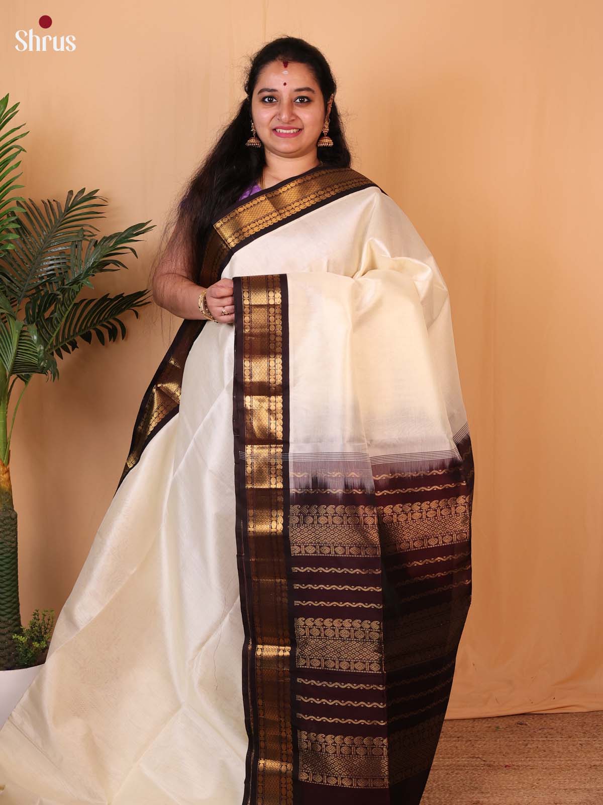 Cream & Brown - Silk Cotton Saree - Shop on Shrus.com