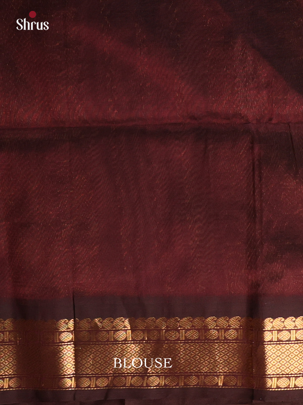 Cream & Brown - Silk Cotton Saree - Shop on Shrus.com