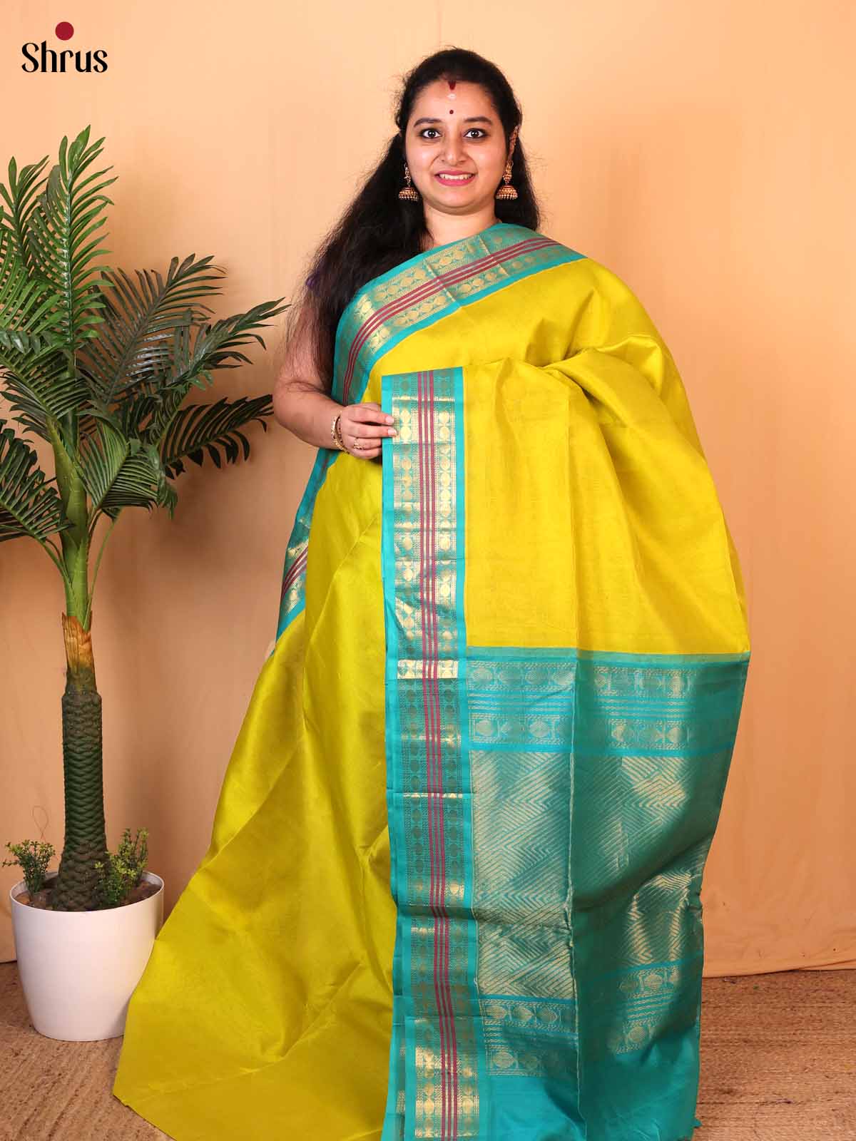 Mustard Green & teal - Silk Cotton Saree - Shop on Shrus.com