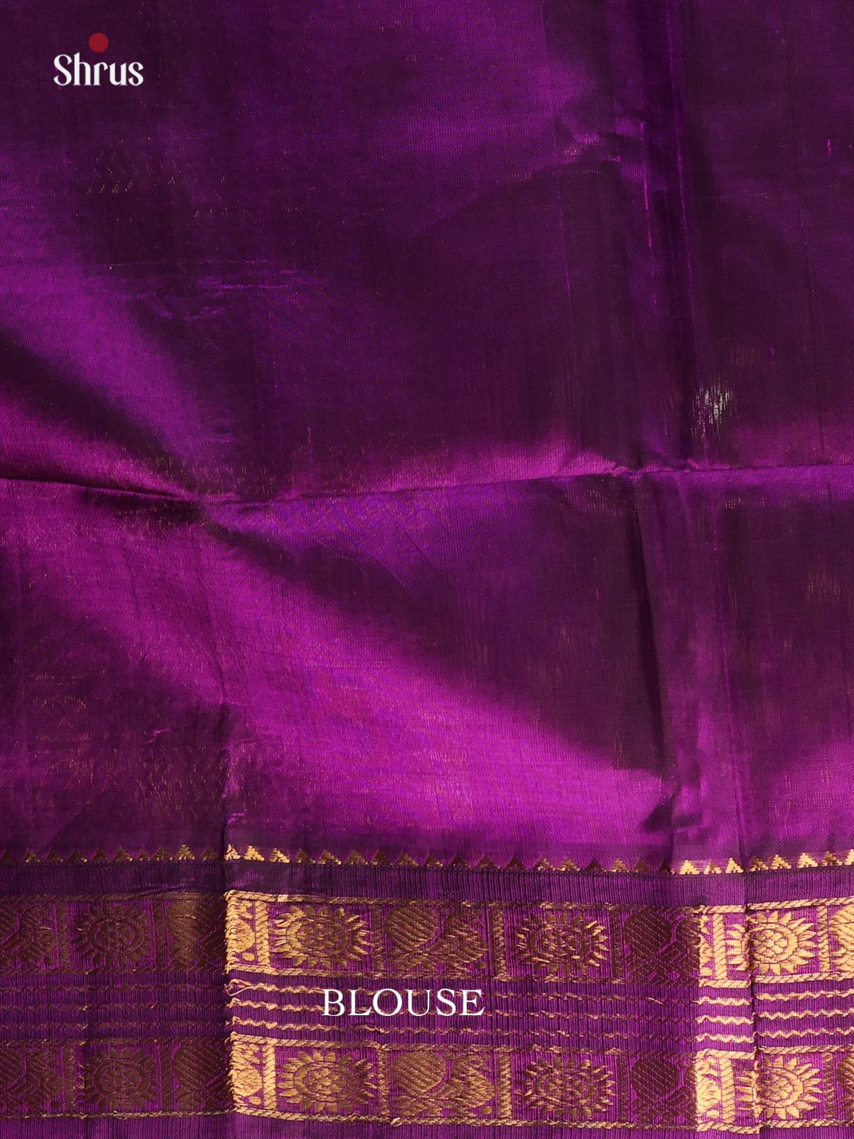 Cream & Violet - Silk Cotton Saree - Shop on Shrus.com