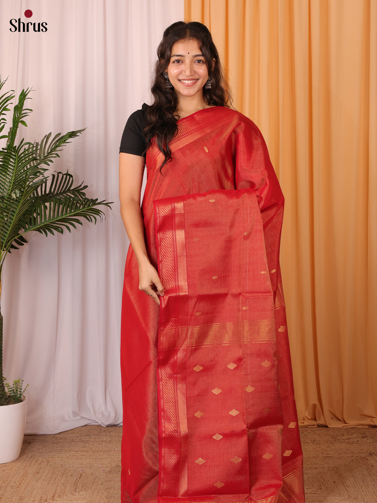 Red(Single Tone) - Maheshwari silkcotton Saree - Shop on Shrus.com