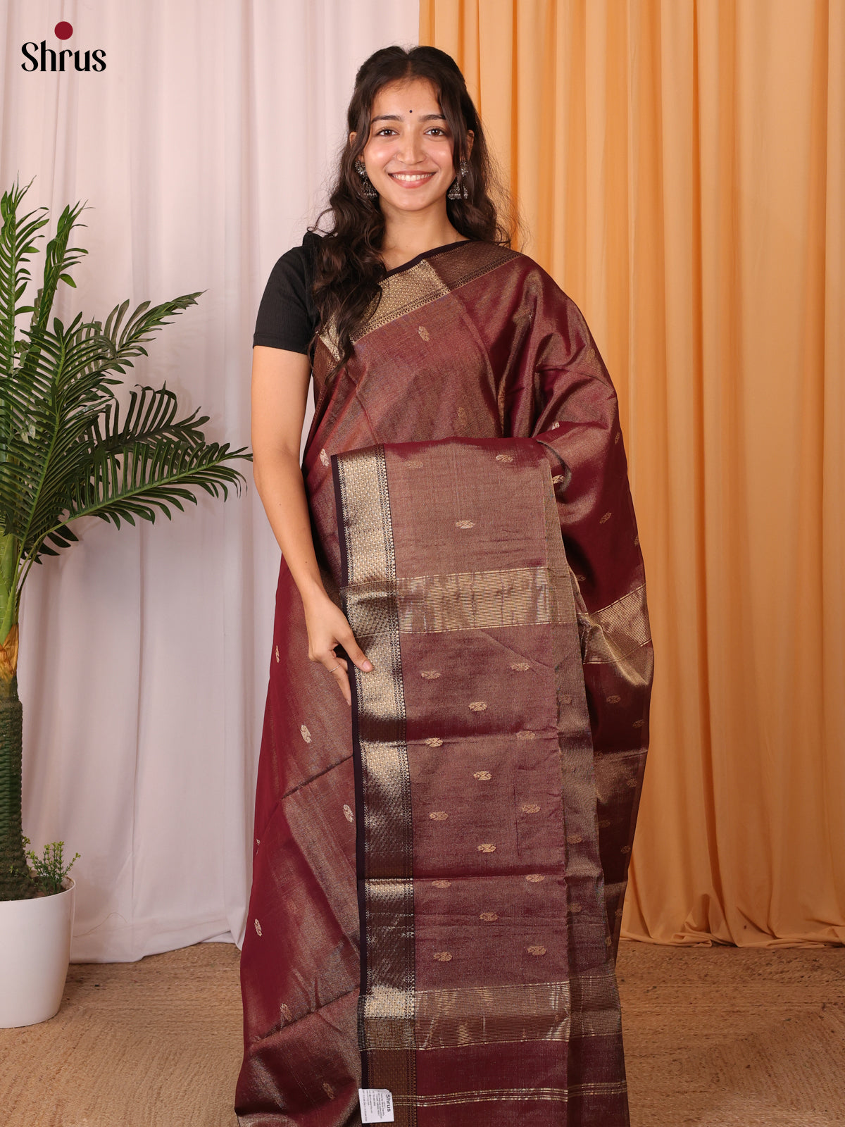 Brown - Maheshwari silkcotton Saree - Shop on Shrus.com