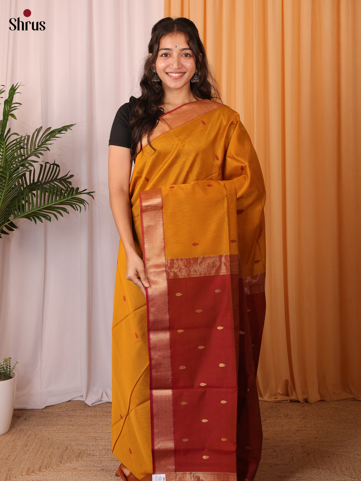 Mustard & Maroon- Maheshwari silkcotton Saree - Shop on Shrus.com