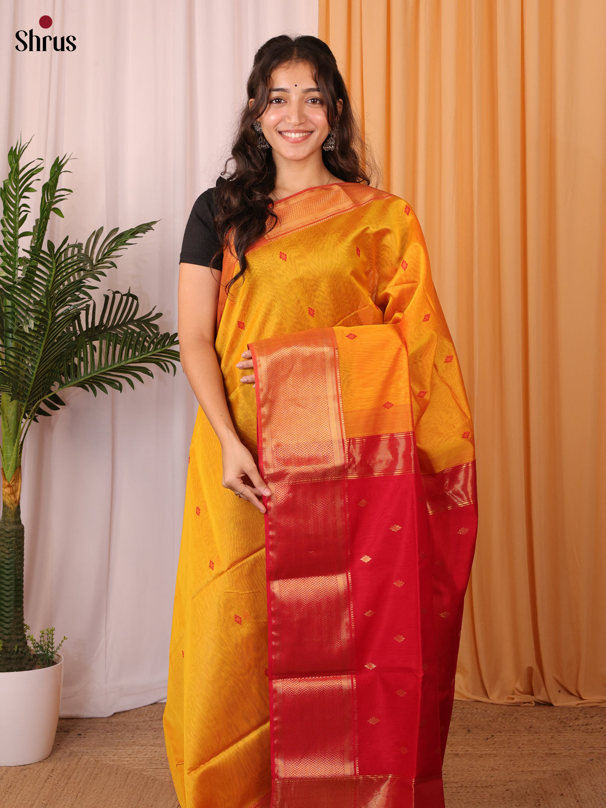 Mustard & Red - Maheshwari silkcotton Saree - Shop on Shrus.com