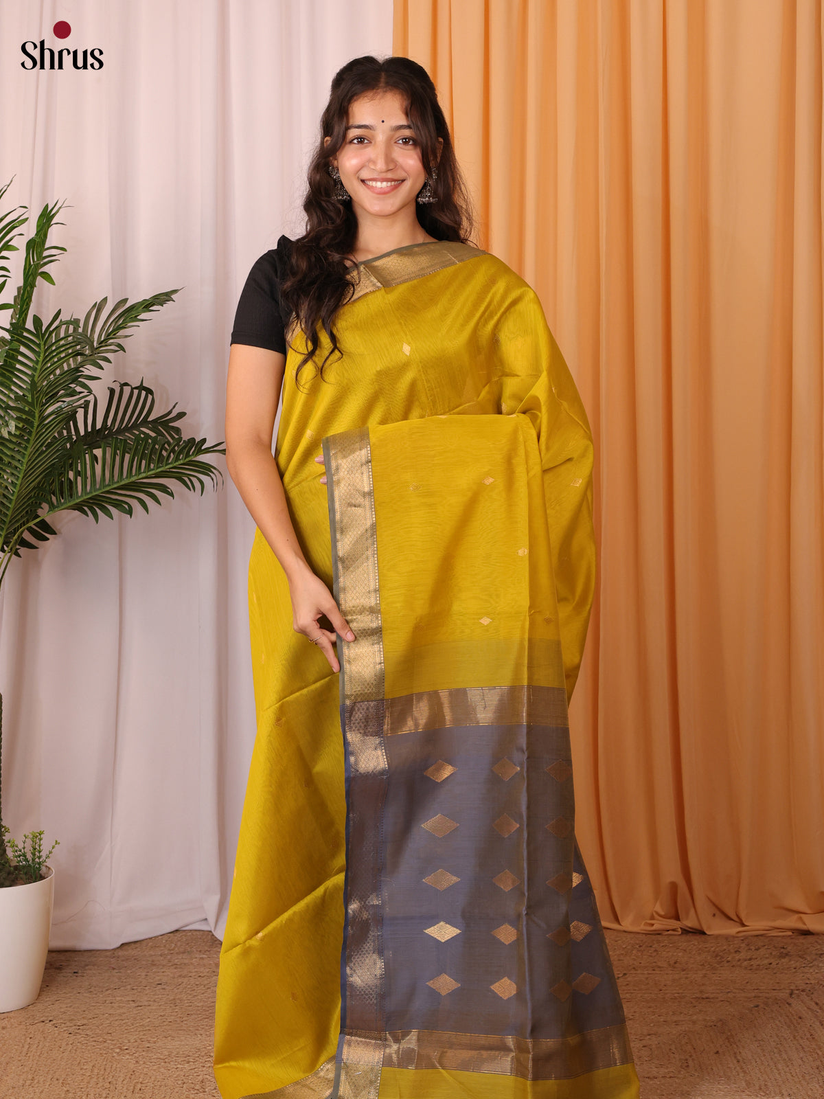 Mustardy Green & Mild Purple- Maheshwari silkcotton Saree - Shop on Shrus.com