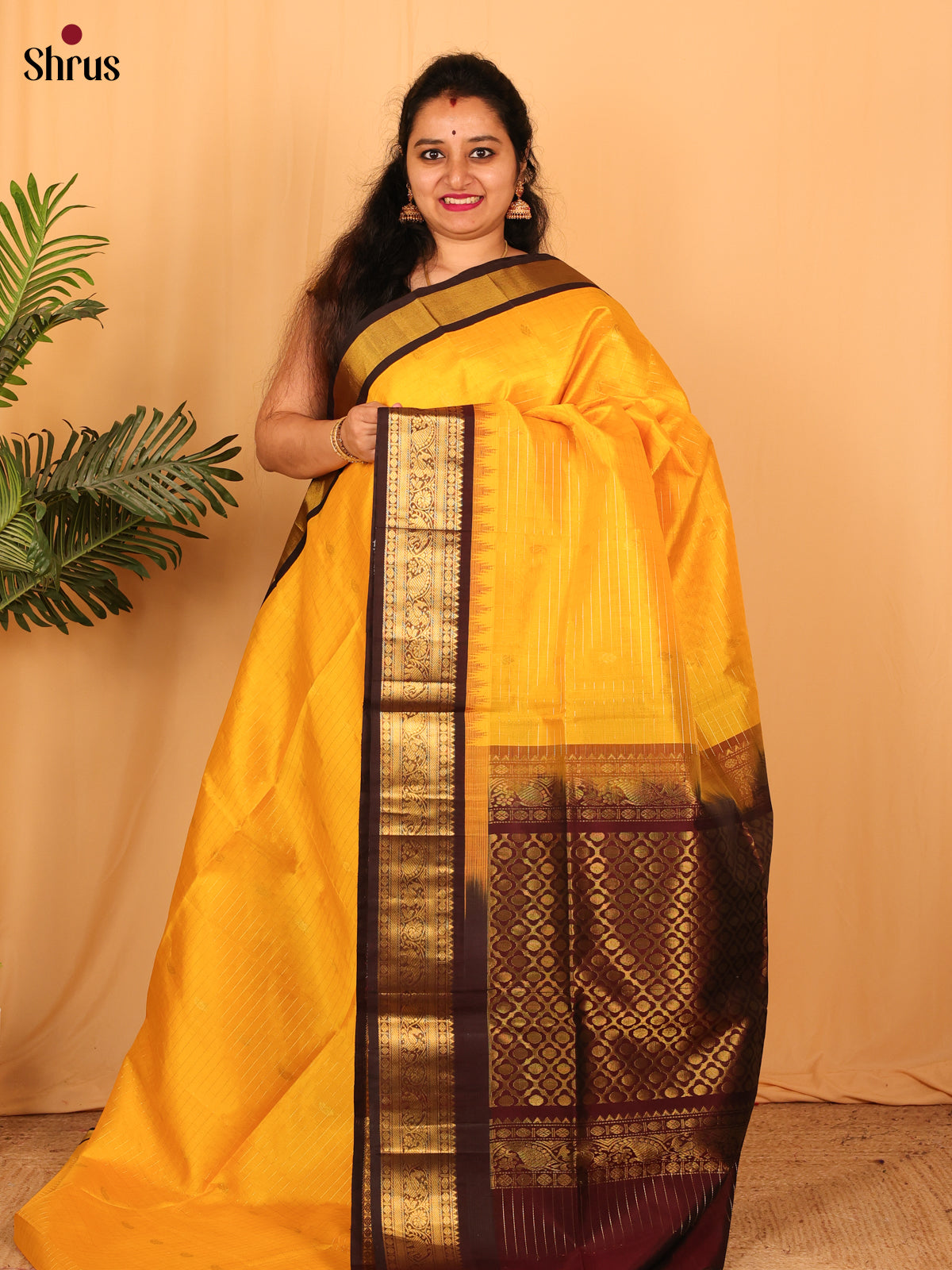 CLS23129 - Silk Cotton Saree - Shop on Shrus.com