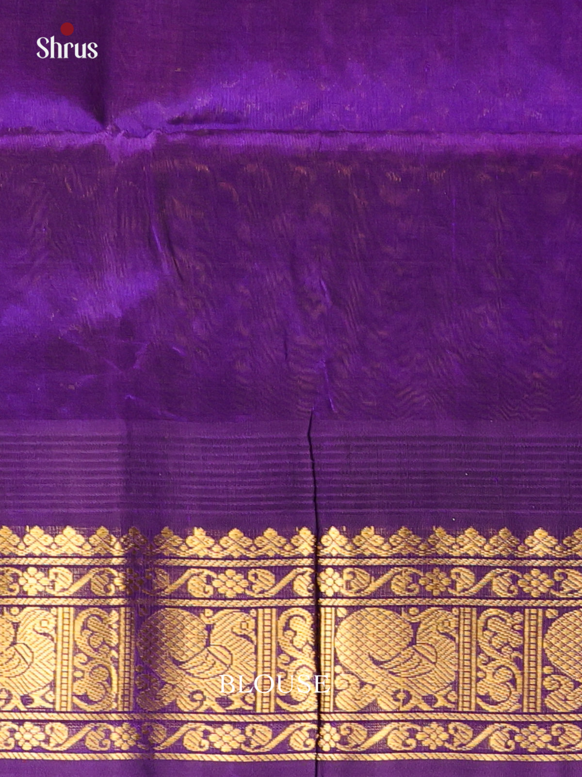 Pink & Violet - Silk Cotton Saree - Shop on Shrus.com