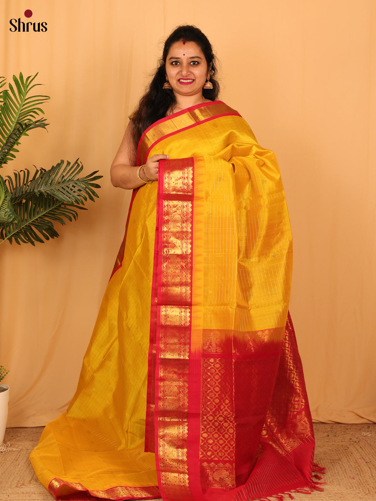 Yellow & Red - Silk Cotton Saree - Shop on Shrus.com