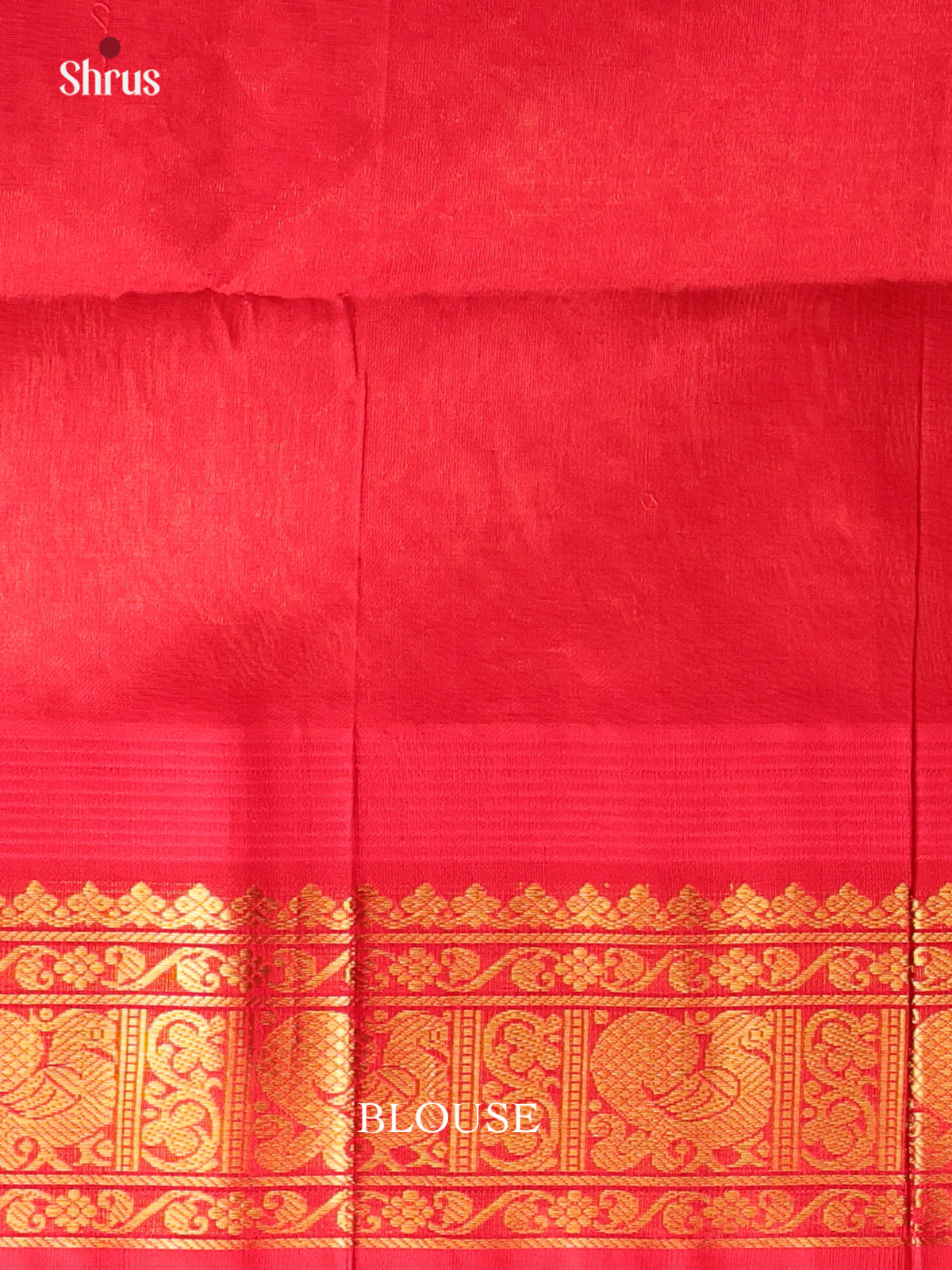 Pink & Red - Silk Cotton Saree - Shop on Shrus.com