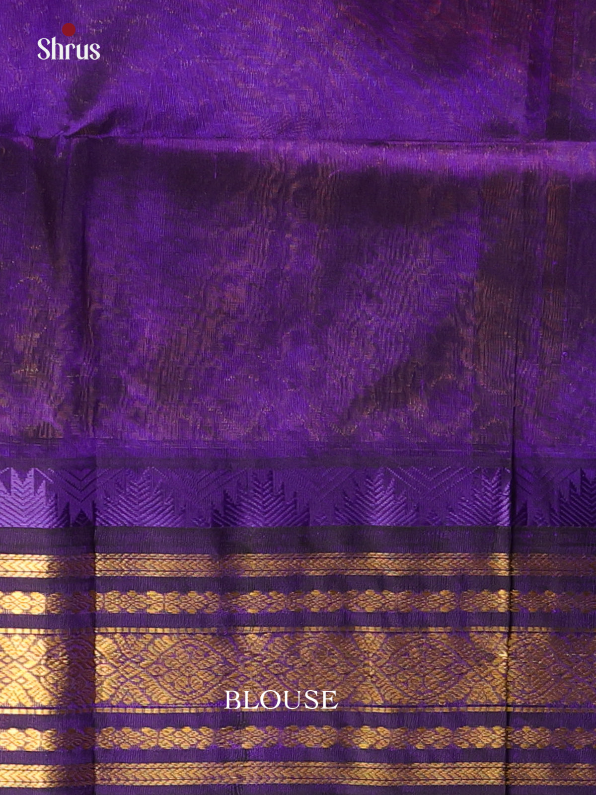 Cream & Violet - Silk Cotton Saree - Shop on Shrus.com