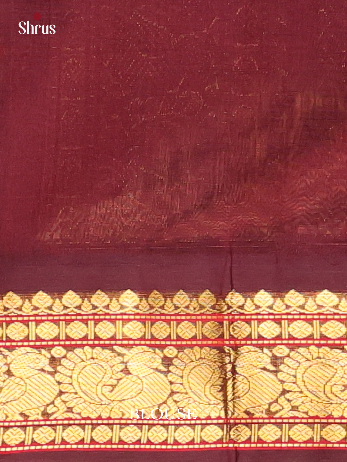 CLS23147 - Silk Cotton Saree - Shop on Shrus.com