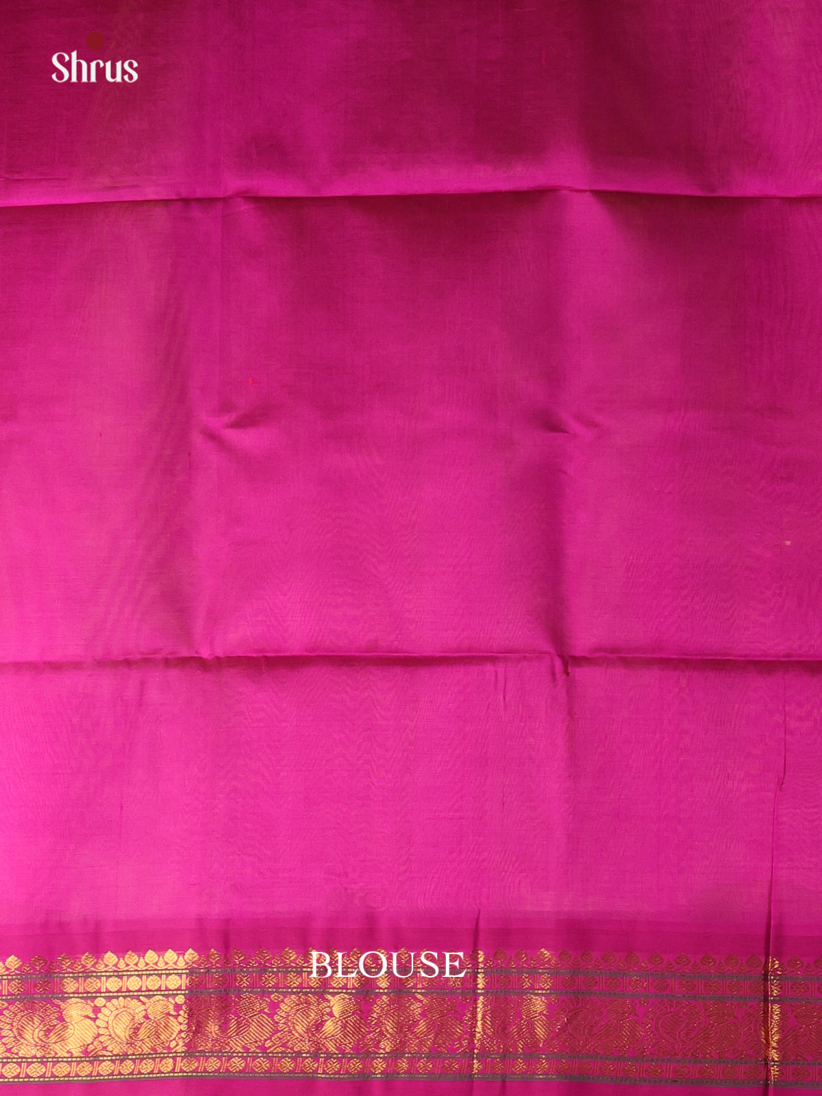 CLS23148 - Silk Cotton Saree - Shop on Shrus.com