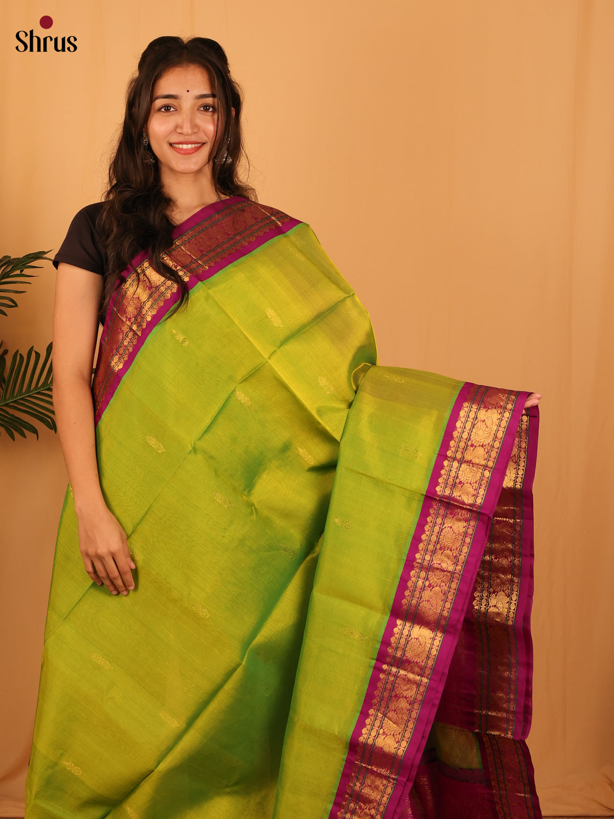 CLS23148 - Silk Cotton Saree - Shop on Shrus.com