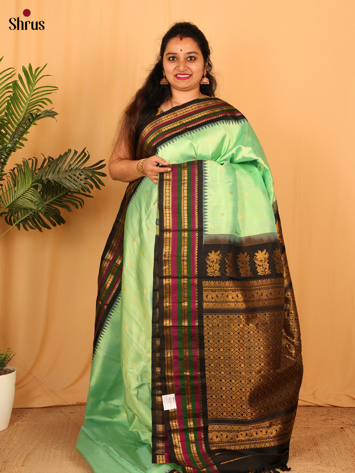 Pista Green & Black - Gadwal silk Saree - Shop on Shrus.com