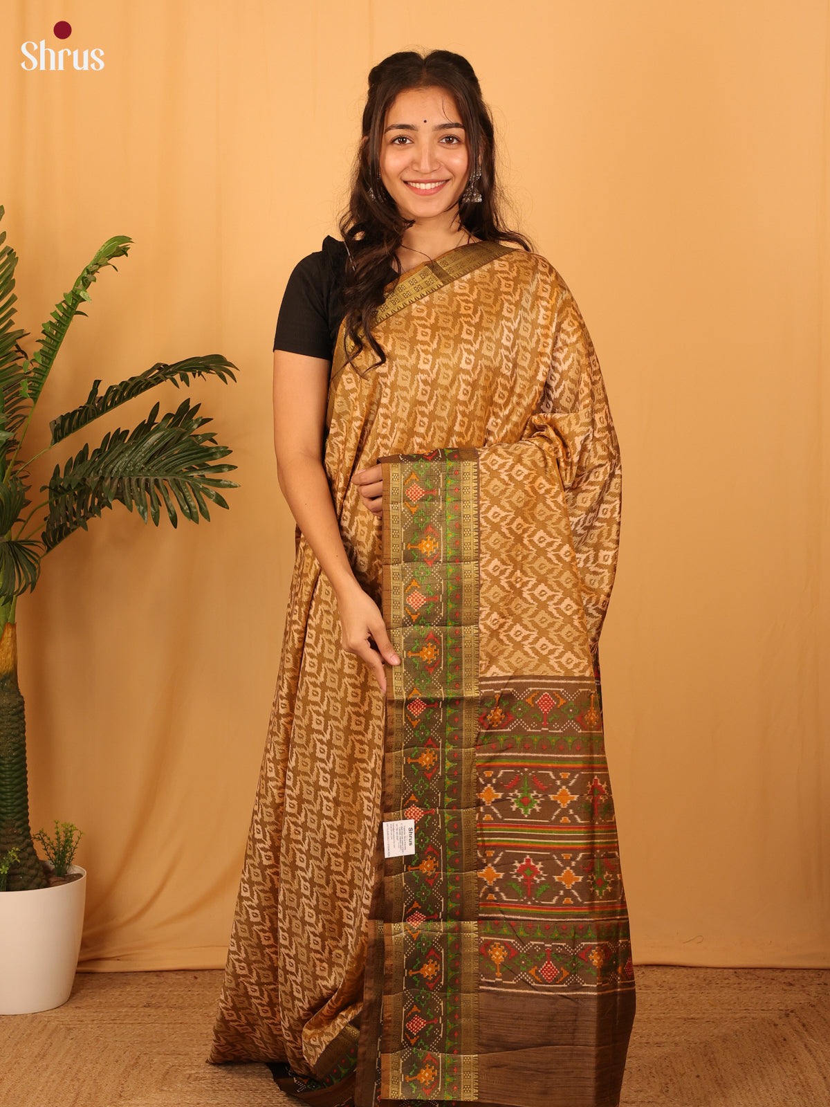 Beige & Brown - Semi Patola Saree - Shop on Shrus.com