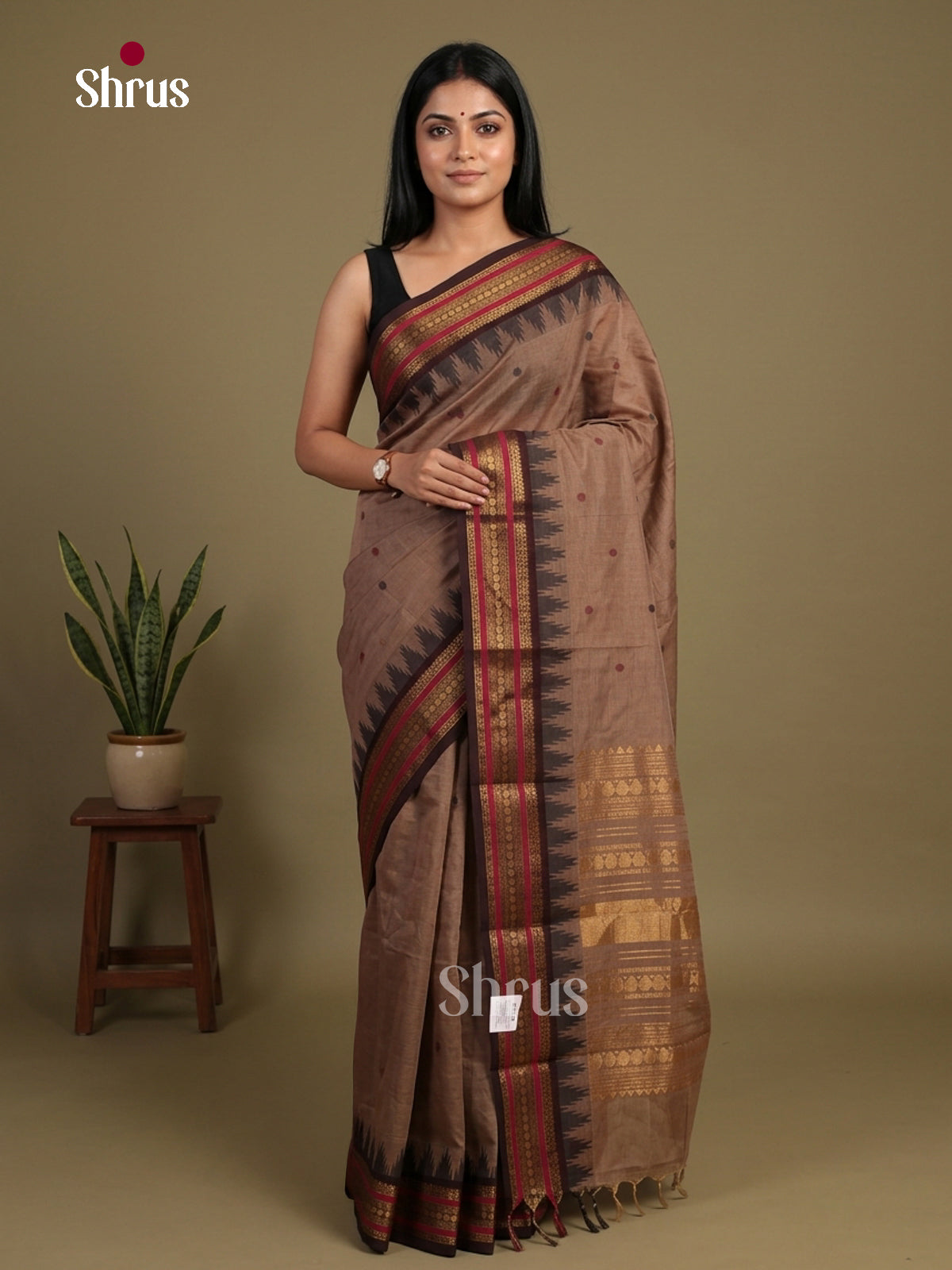 Chettinad Cotton Saree - EFS17021 - Shop on Shrus.com