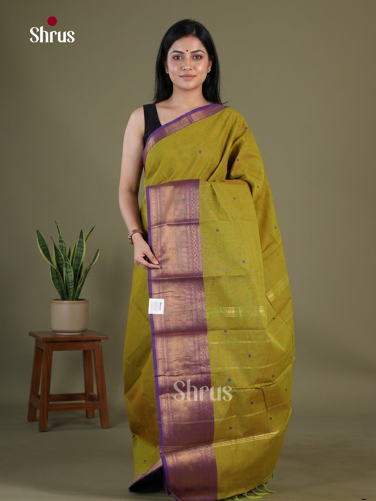Charming Olive Green Chettinad Cotton Saree With Thread Buttas & Purple Broad Zari Border