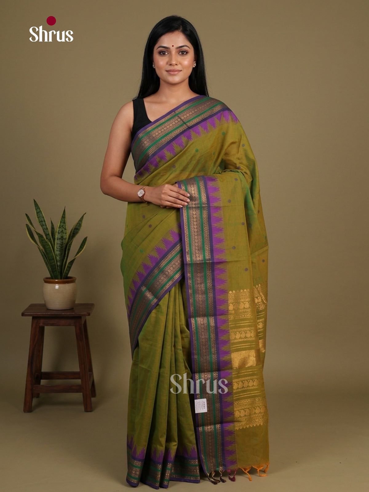 Charming Parrot Green Chettinad Cotton Saree With Thread Buttas & Violet Temple Zari Border