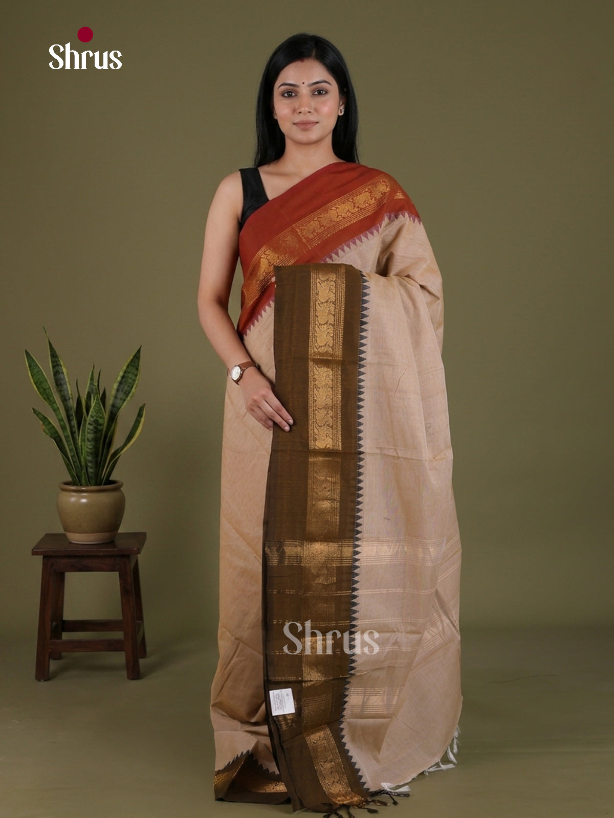 Chic Cream Beige Chettinad Cotton Saree With Plain Body & Ganga Jamuna Temple Zari Border