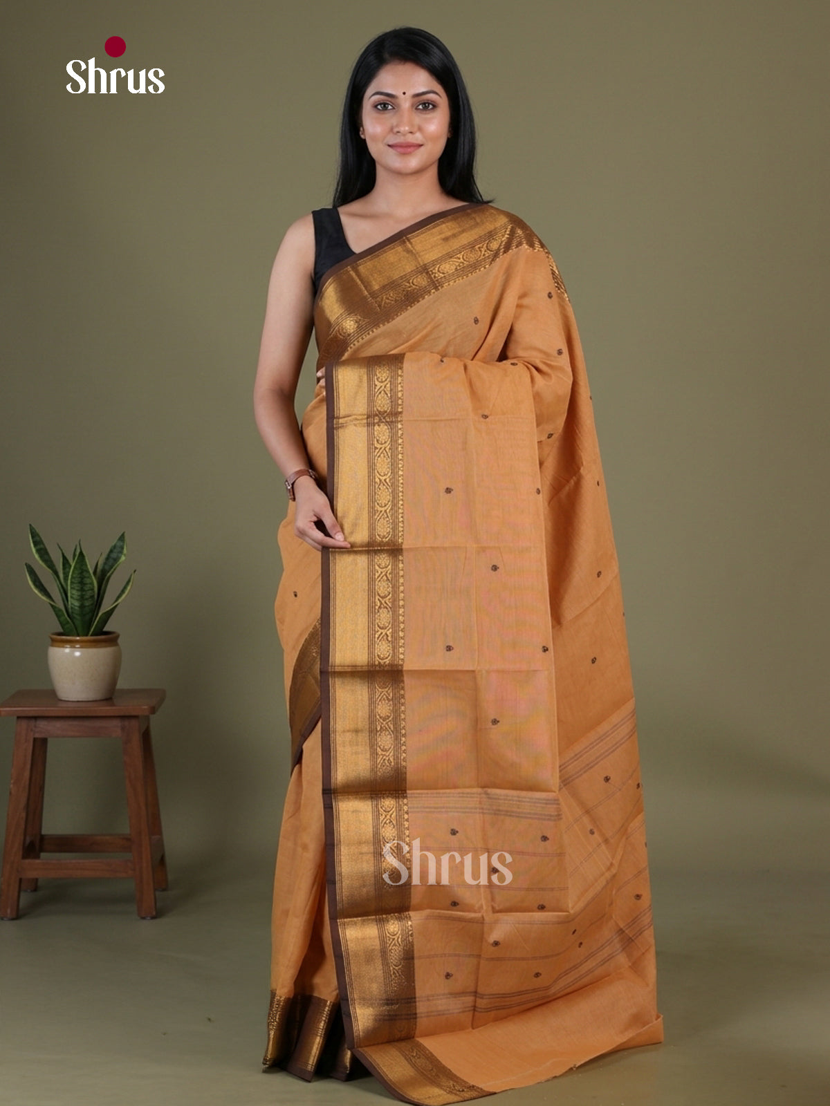 Chettinad Cotton Saree - EGS03435 - Shop on Shrus.com