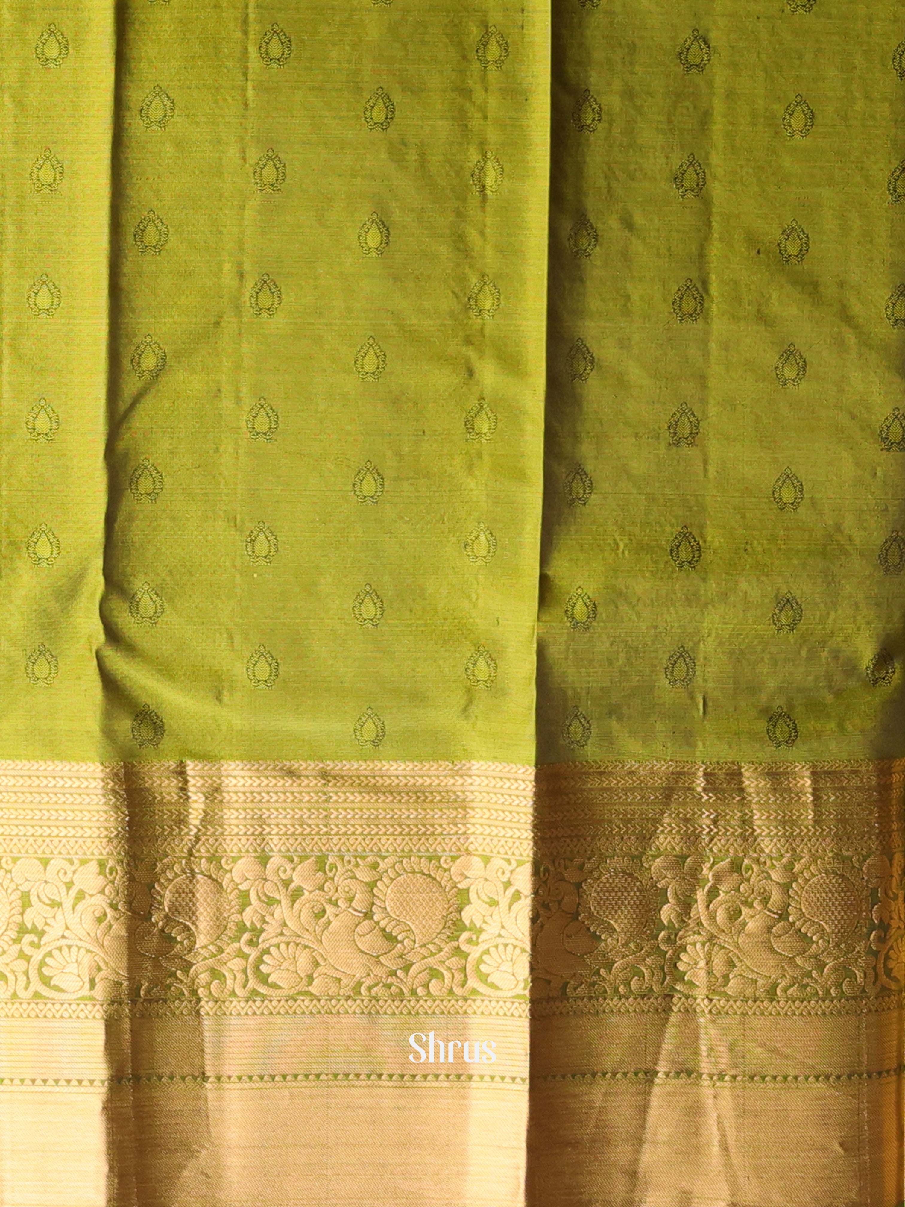 Brown & Green - Kanchipuram silk Saree - Shop on Shrus.com