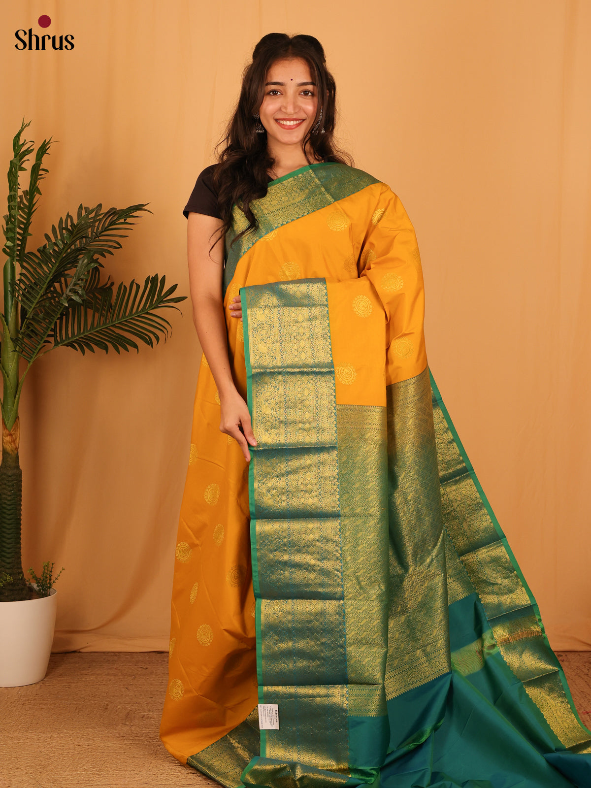 Mustard & Green- Bangalori silk Saree - Shop on Shrus.com