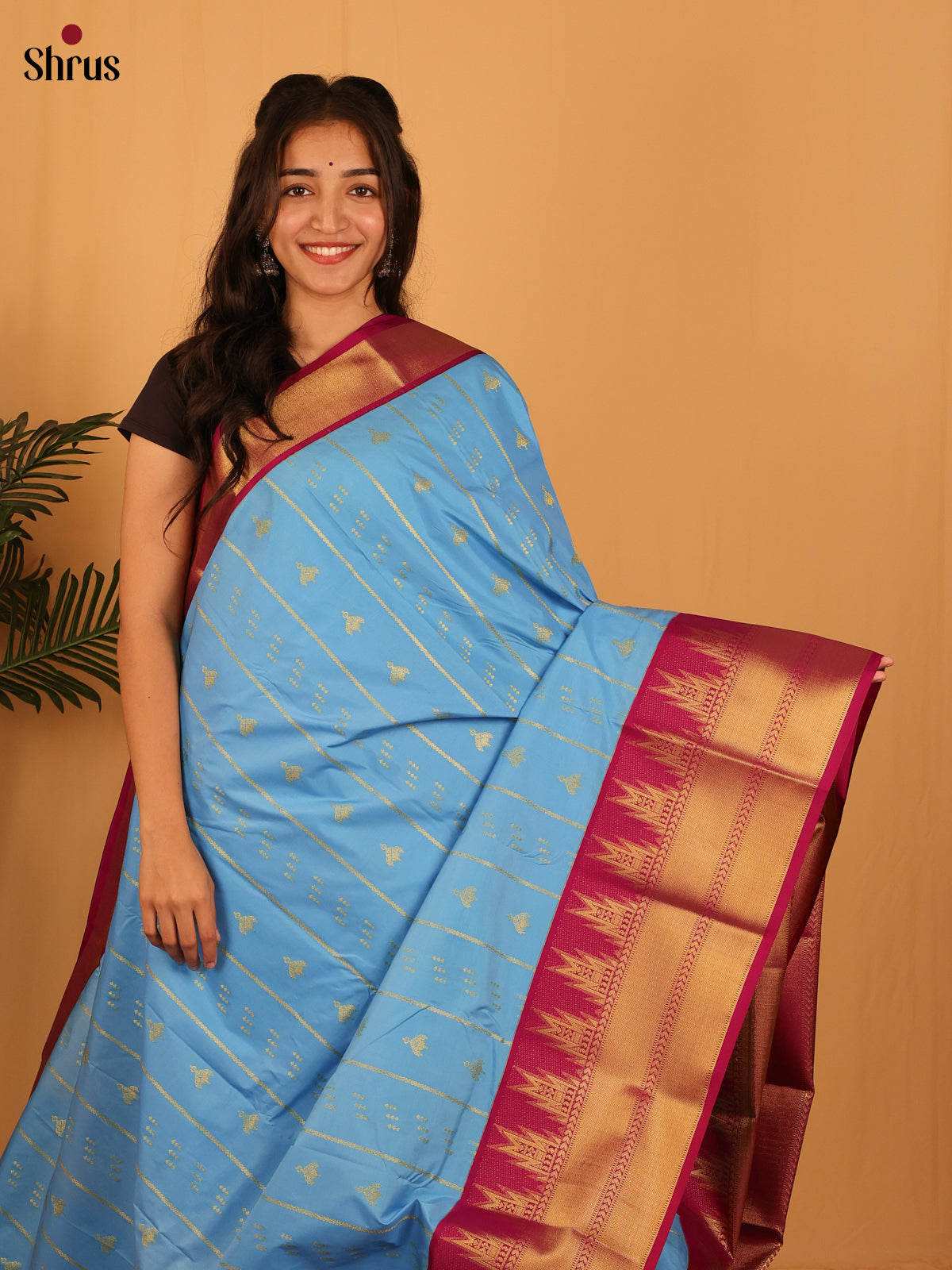 Blue & Maroon - Bangalori silk Saree - Shop on Shrus.com