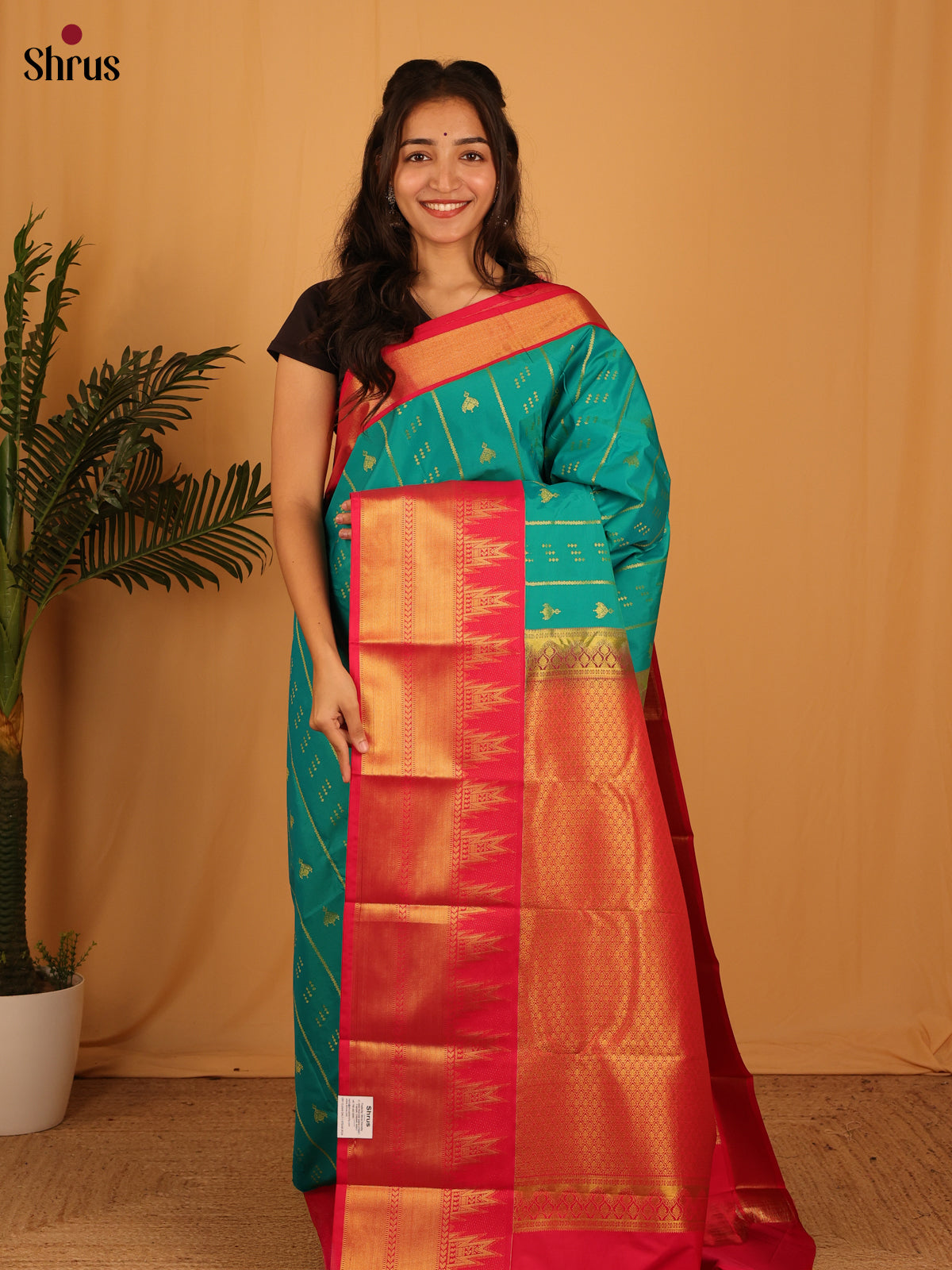 Green & Red - Bangalori silk Saree - Shop on Shrus.com