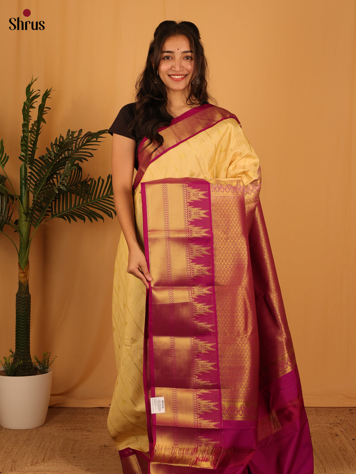 Beige & Purple - Bangalori silk Saree - Shop on Shrus.com