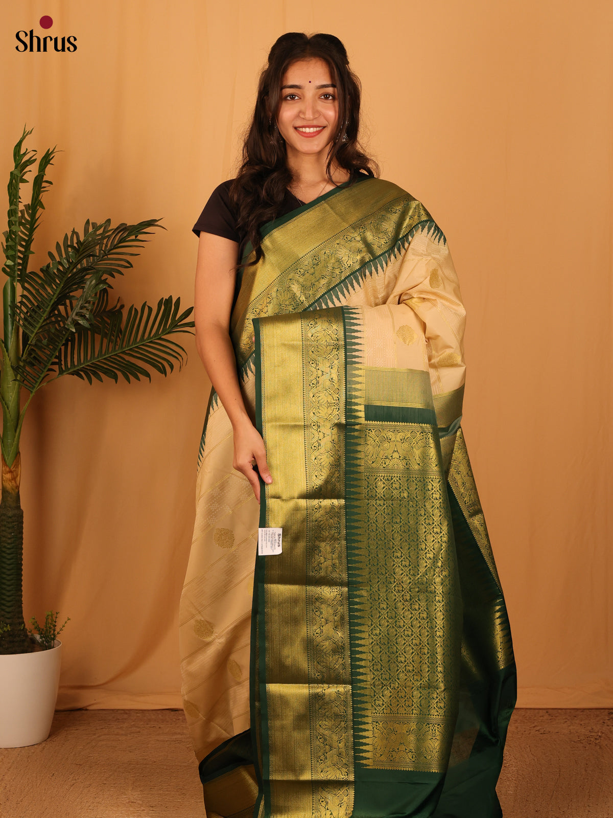Beige & Green- Bangalori silk Saree - Shop on Shrus.com