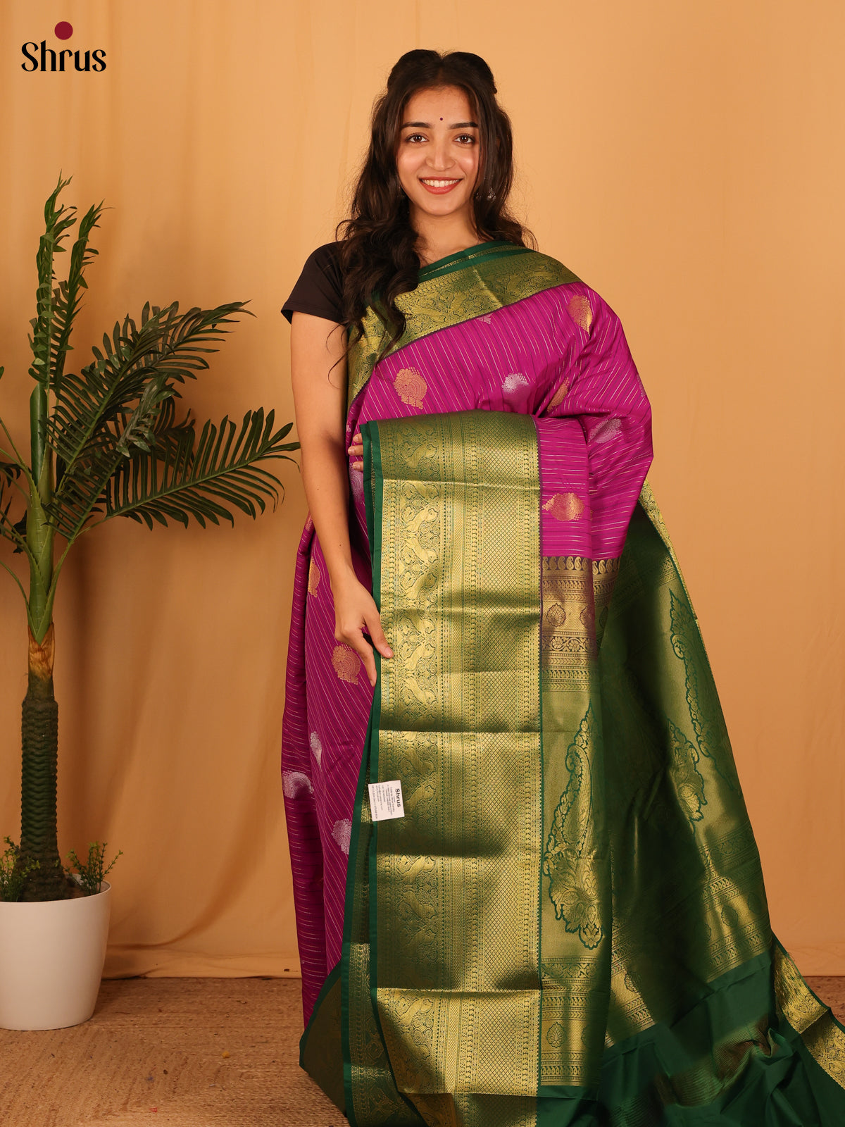 Majenta & Green- Bangalori silk Saree - Shop on Shrus.com
