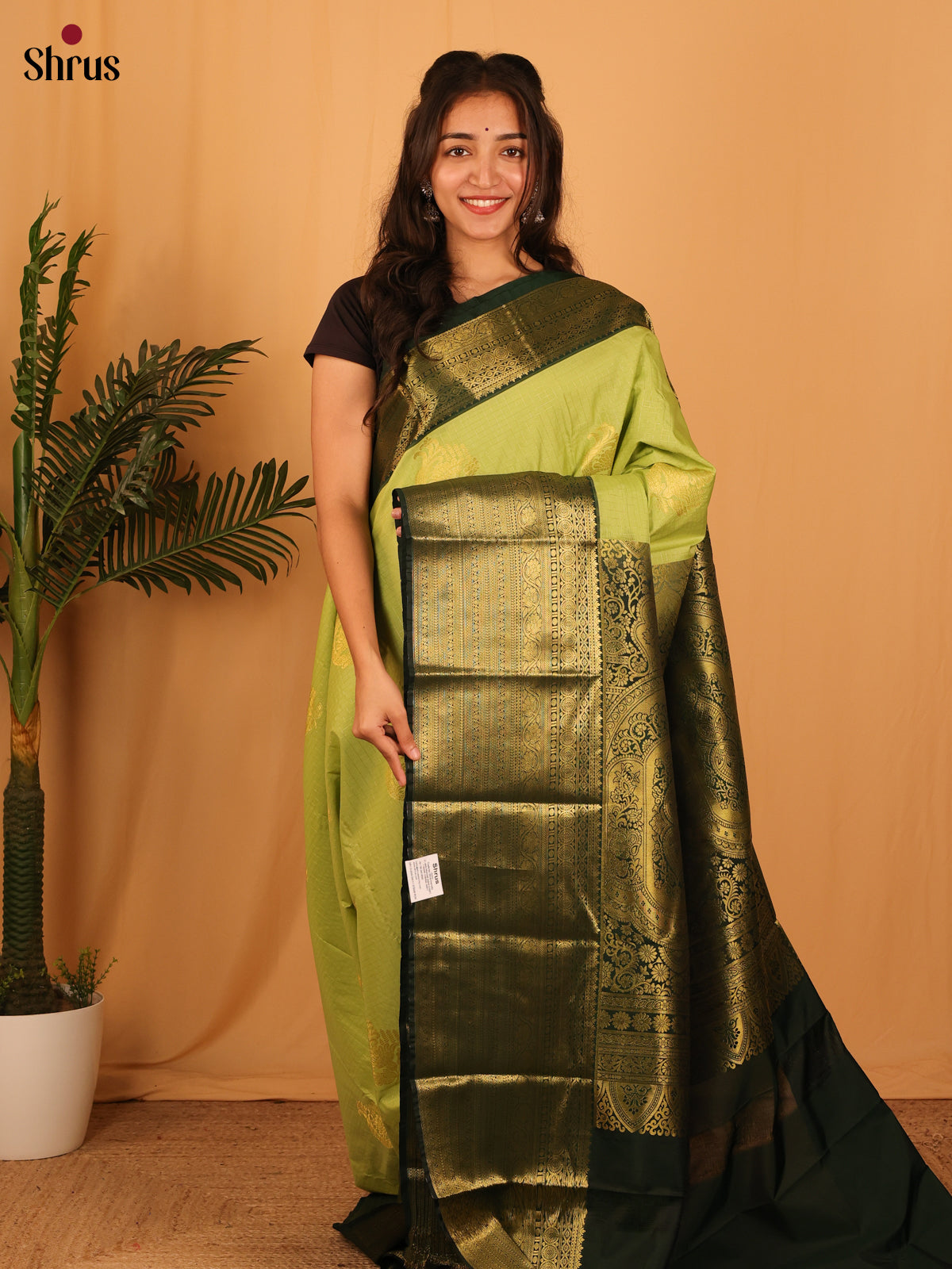 Lime Green & Green - Bangalori silk Saree - Shop on Shrus.com