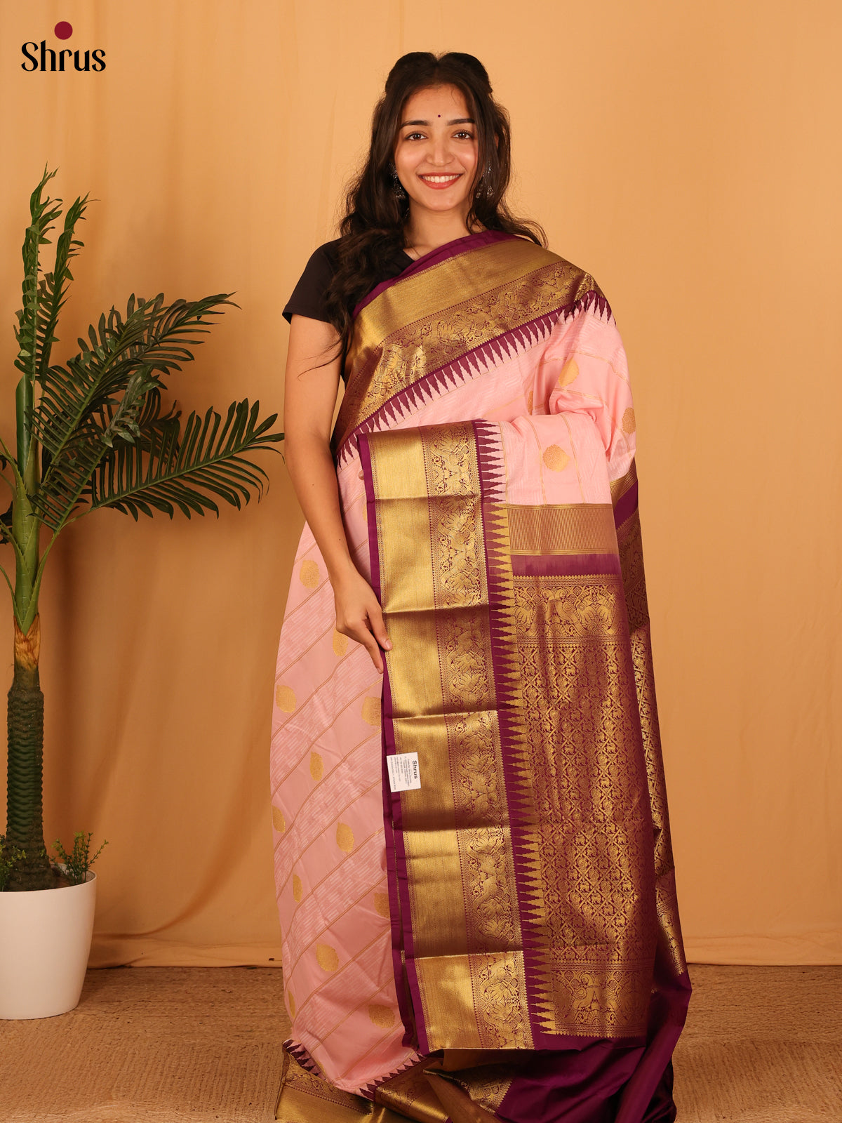 Pink & Purple - Bangalori silk Saree - Shop on Shrus.com