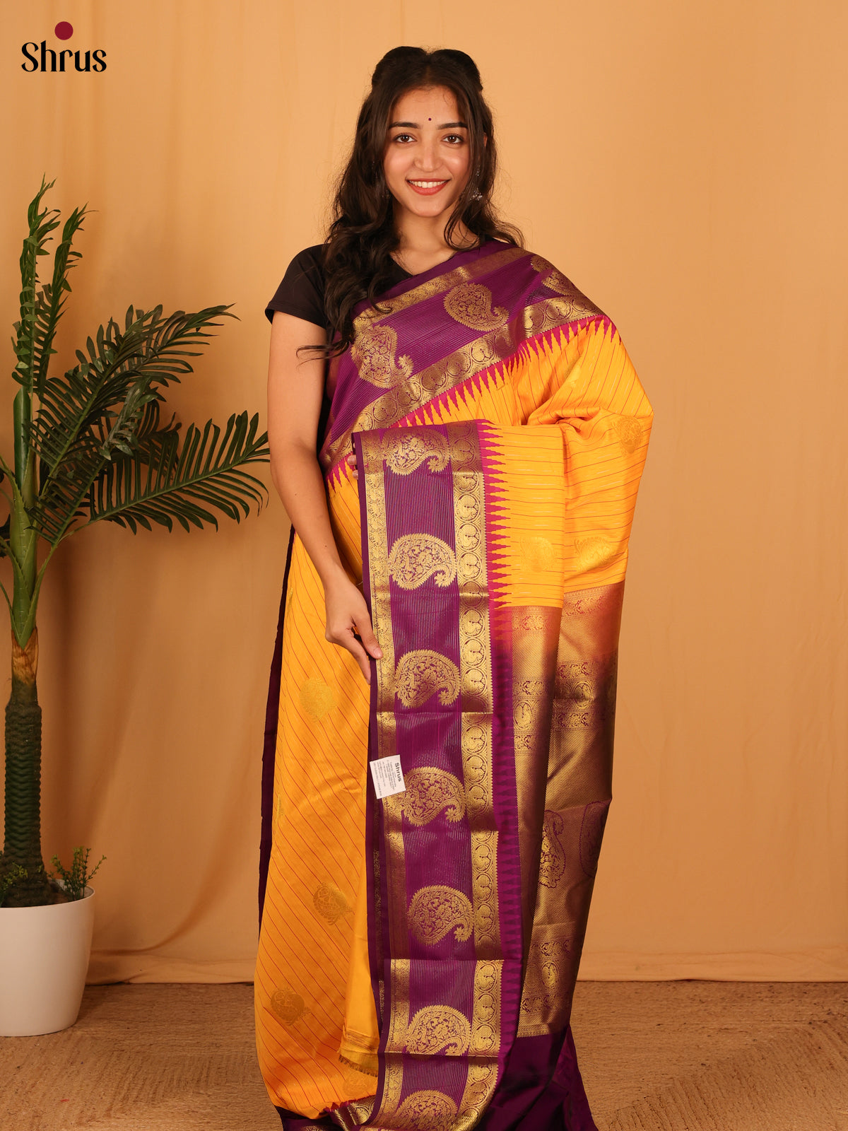 Mustard & Purple - Bangalori silk Saree - Shop on Shrus.com