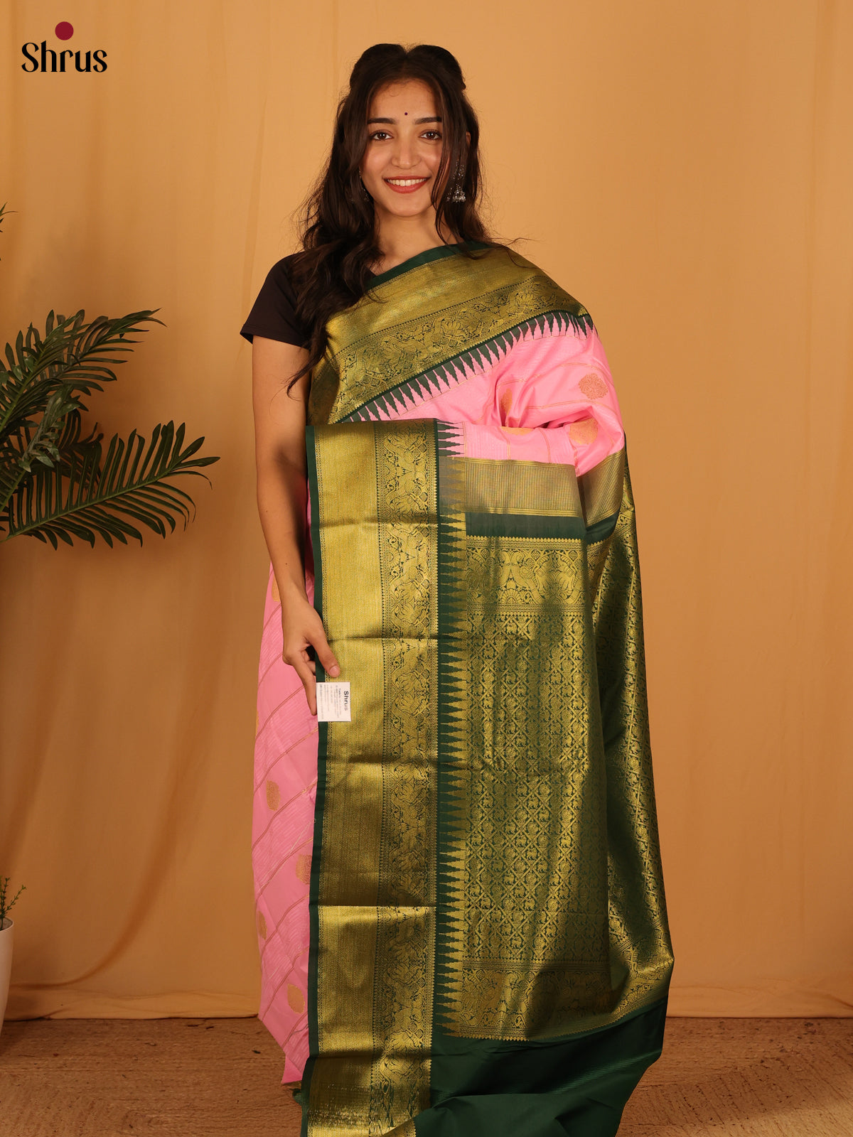Pink & Green - Bangalori silk Saree - Shop on Shrus.com