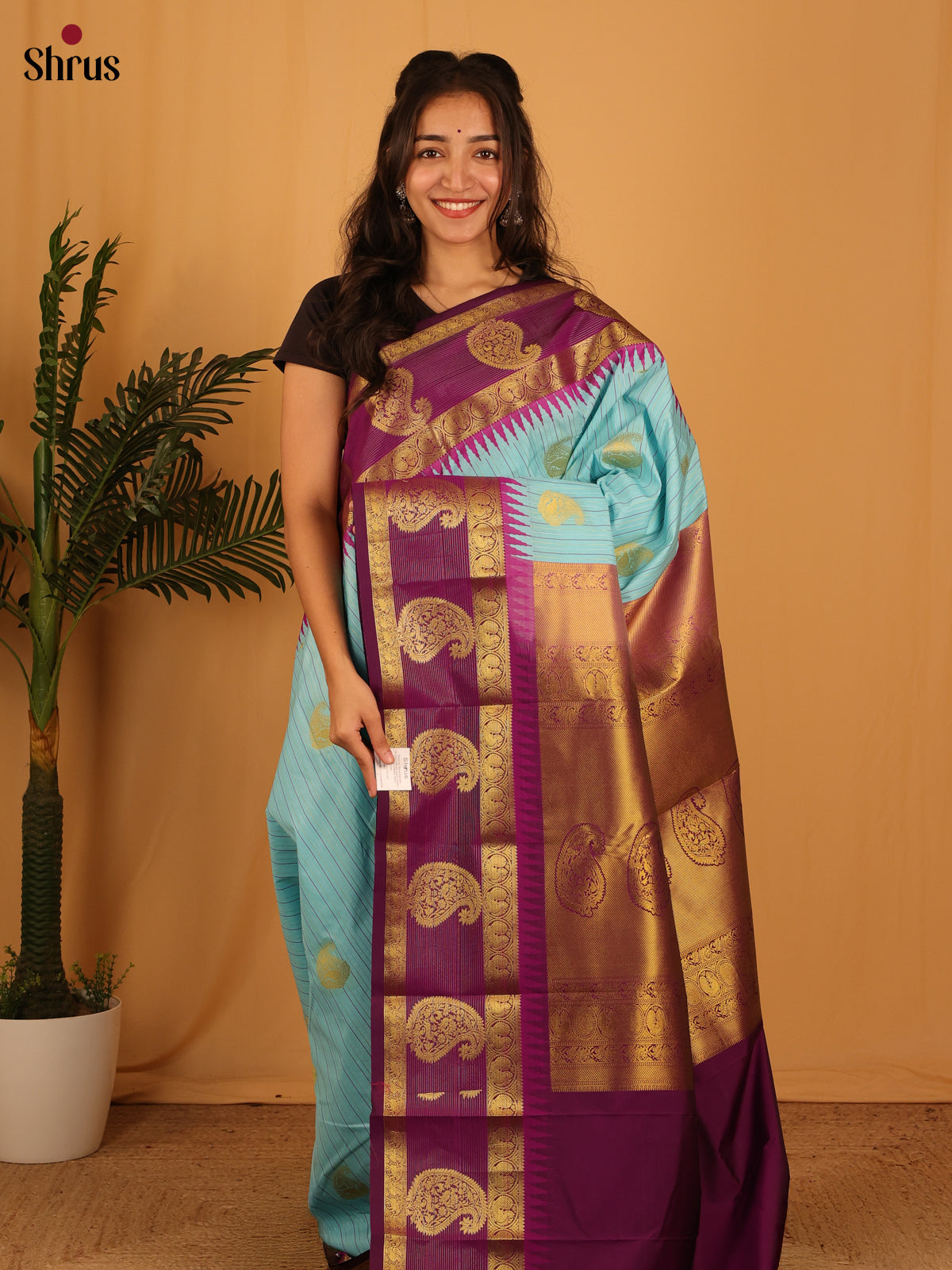 Blue & Purple- Bangalori silk Saree - Shop on Shrus.com